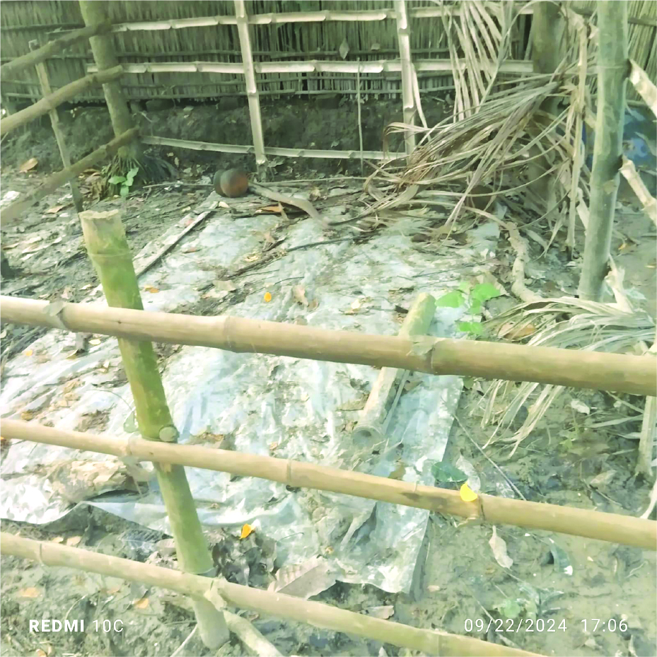 Image of মোশারফ